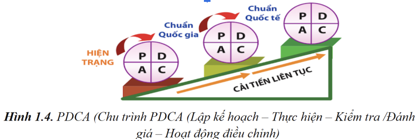 PDCA